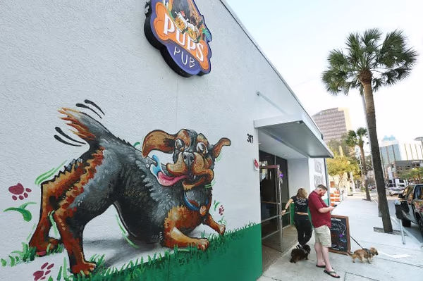 Pups Pub - Tampa photo 1